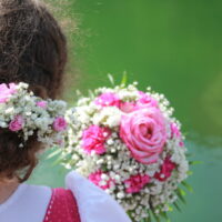 IMG_8614 IMG_8614