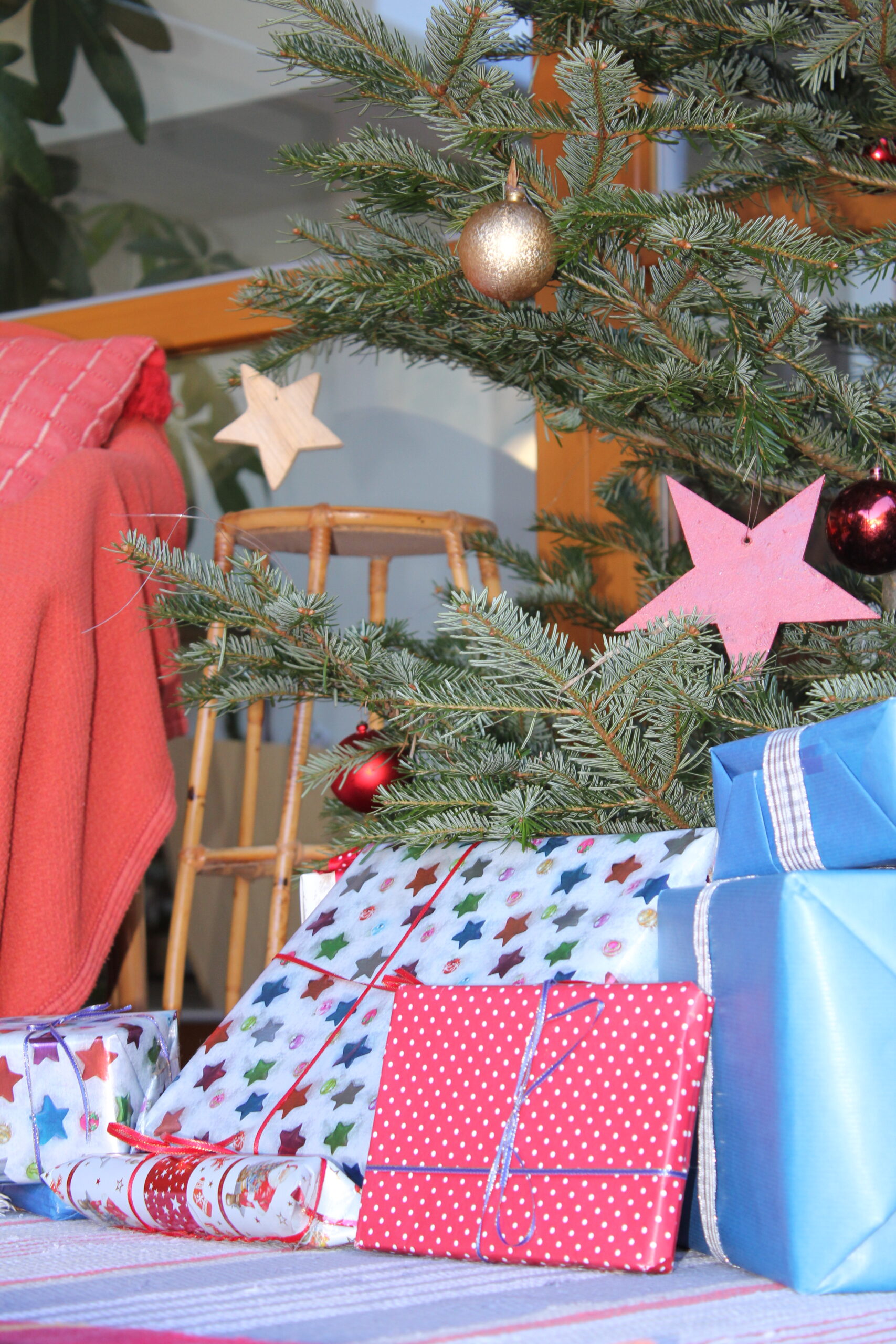 Frohe Weihnachten wünschen die Schülerinnen und das Schulteam der LFS Unterleiten