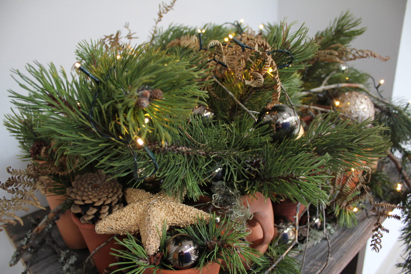 Unterleitner Advent Unterleitner Advent